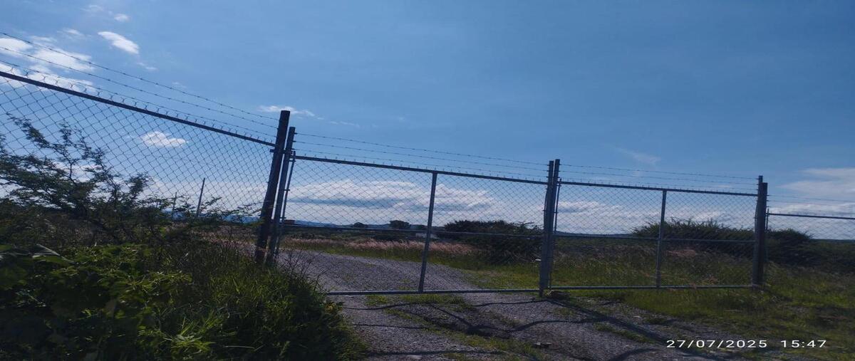 Foto de terreno habitacional en venta en  , ejido apaseo el alto, apaseo el alto, guanajuato, 0 No. 03