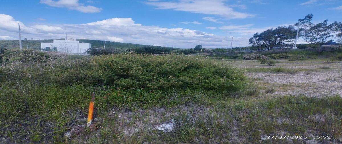 Foto de terreno habitacional en venta en  , ejido apaseo el alto, apaseo el alto, guanajuato, 0 No. 04