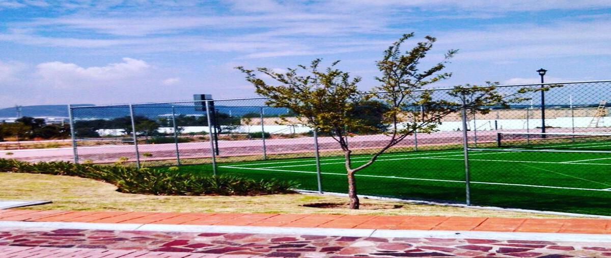 Foto de terreno habitacional en renta en  , ejido apaseo el alto, apaseo el alto, guanajuato, 0 No. 03