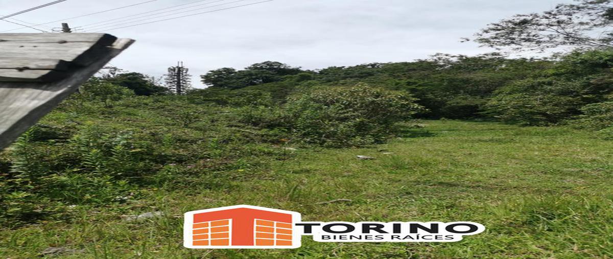 Foto de terreno habitacional en venta en  , ejido benito juárez, xalapa, veracruz de ignacio de la llave, 7606507 No. 02