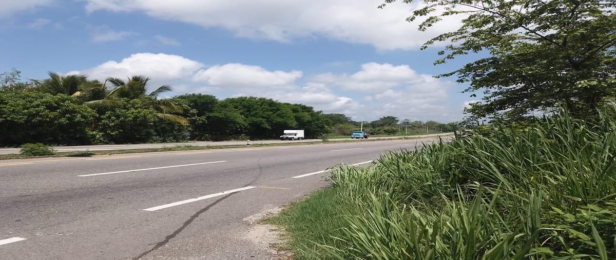 Foto de terreno comercial en venta en ejido chichonal , chichonal 1ra. sección, jalapa, tabasco, 26945584 No. 05