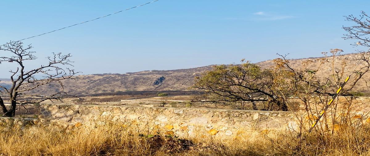 Foto de terreno habitacional en venta en  , ejido copalita, zapopan, jalisco, 0 No. 04