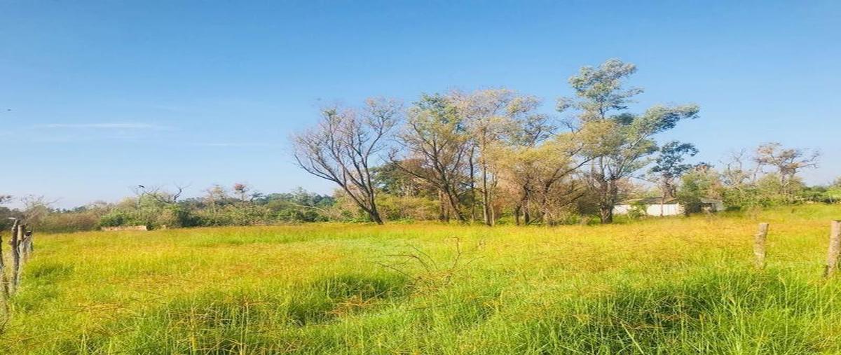 Foto de terreno habitacional en venta en  , ejido copalita, zapopan, jalisco, 30298500 No. 04