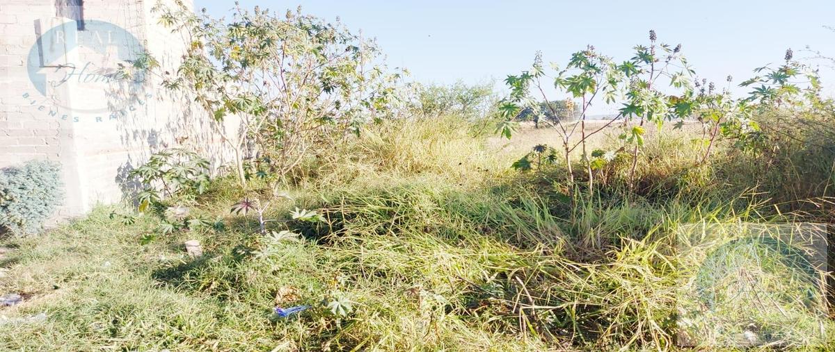 Foto de terreno habitacional en , ejido copalita, zapopan, jalisco, 0 foto 01 Foto de terreno habitacional en venta en , ejido copalita, zapopan, jalisco, 0 No. 01