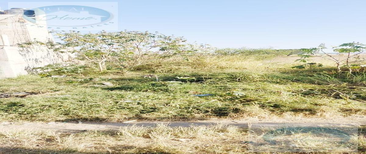 Foto de terreno habitacional en , ejido copalita, zapopan, jalisco, 0 foto 03 Foto de terreno habitacional en venta en , ejido copalita, zapopan, jalisco, 0 No. 03