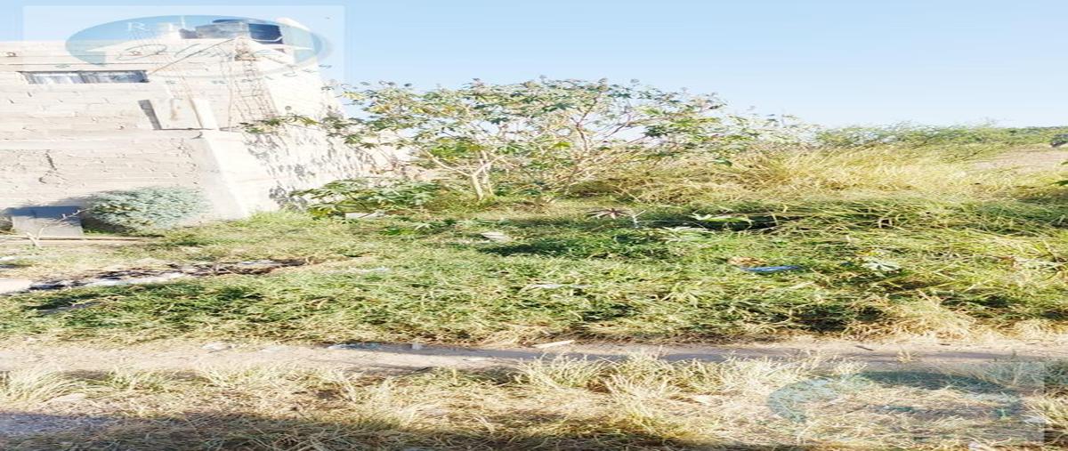 Foto de terreno habitacional en , ejido copalita, zapopan, jalisco, 0 foto 04 Foto de terreno habitacional en venta en , ejido copalita, zapopan, jalisco, 0 No. 04