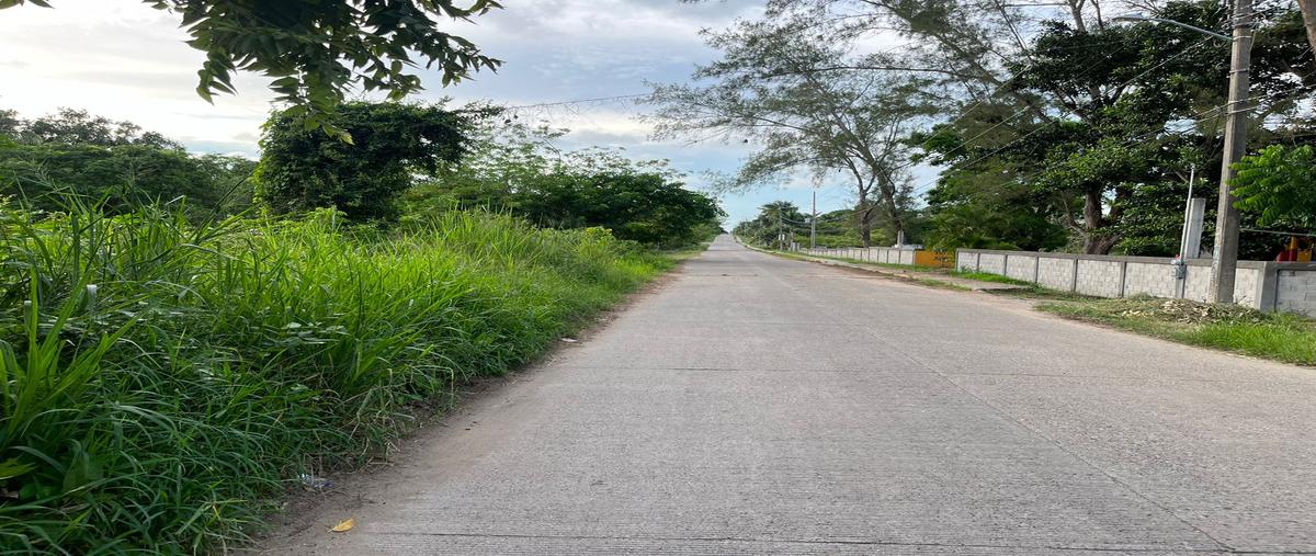 Foto de terreno habitacional en venta en ejido coyolito , bustos 1, tampico alto, veracruz de ignacio de la llave, 30359587 No. 03