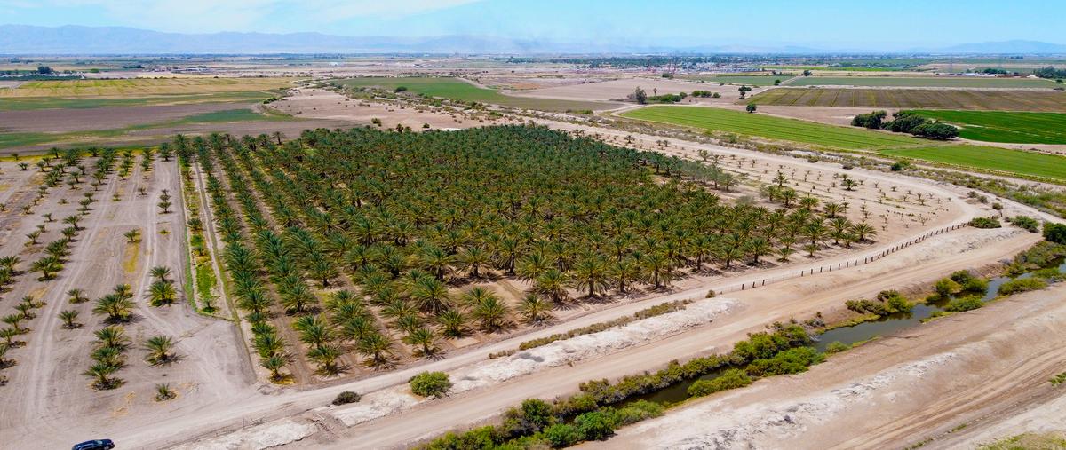 Foto de terreno comercial en ejido cuernavaca , puebla, mexicali, baja california, 24895643 foto 03 Foto de terreno comercial en venta en ejido cuernavaca , puebla, mexicali, baja california, 24895643 No. 03