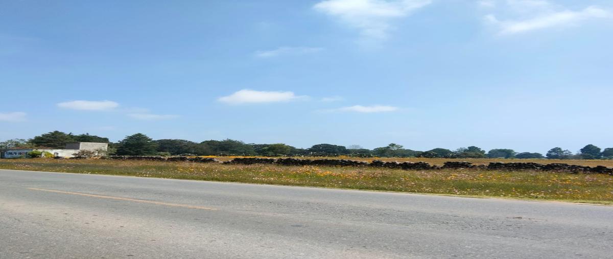 Foto de terreno habitacional en venta en  , ejido de acazuchitlan, jilotepec, méxico, 28227699 No. 03