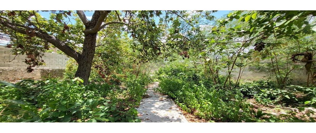 Foto de casa en venta en  , ejido de chuburna, mérida, yucatán, 0 No. 04