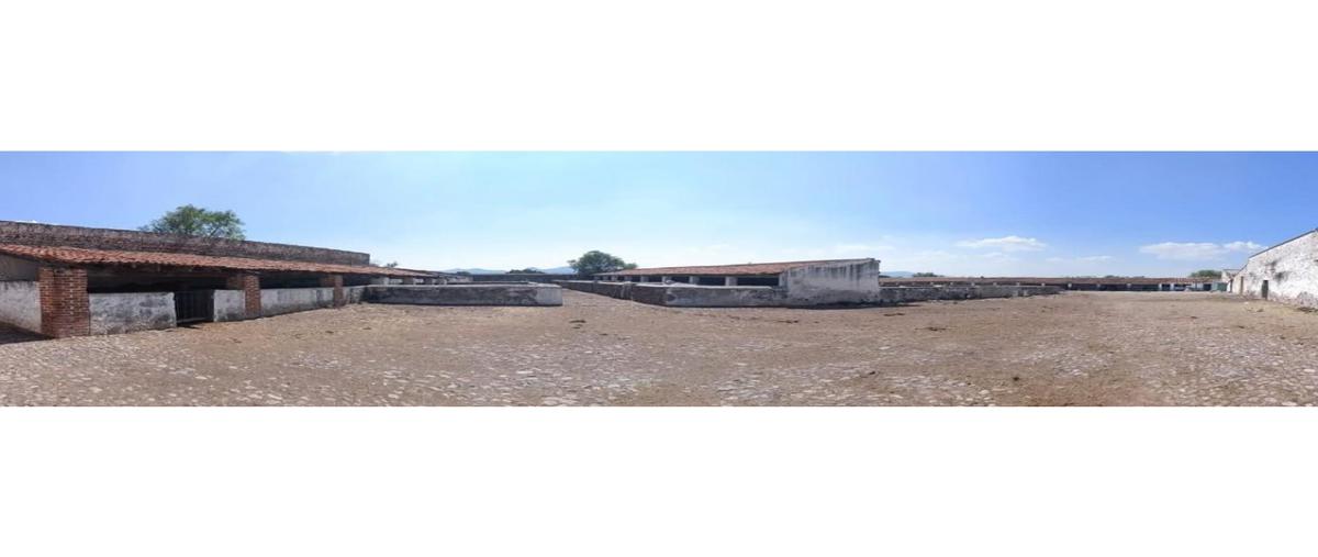 Foto de rancho en venta en  , ejido de huichapan, huichapan, hidalgo, 26197367 No. 05