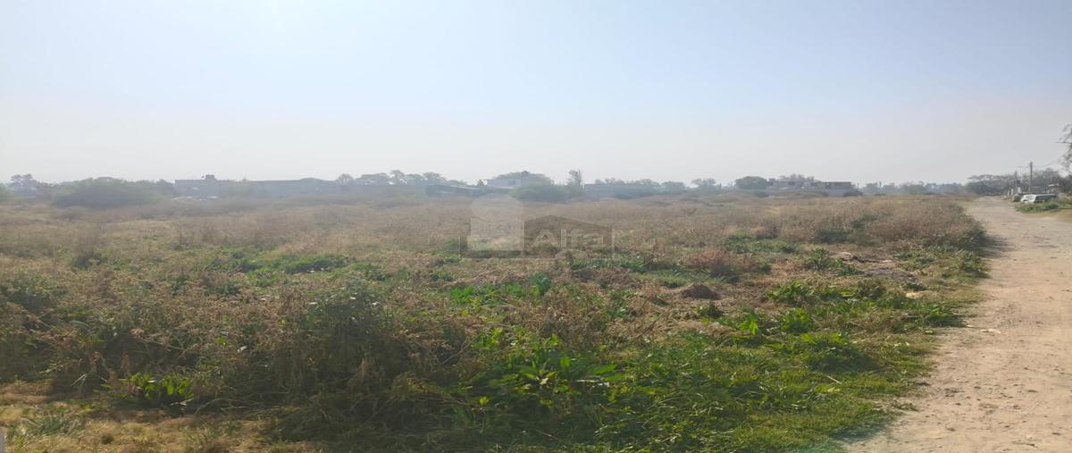 Foto de terreno habitacional en venta en ejido de san felipe y santa cruz de abajo 1, santa cruz de arriba, texcoco, méxico, 29435722 No. 03