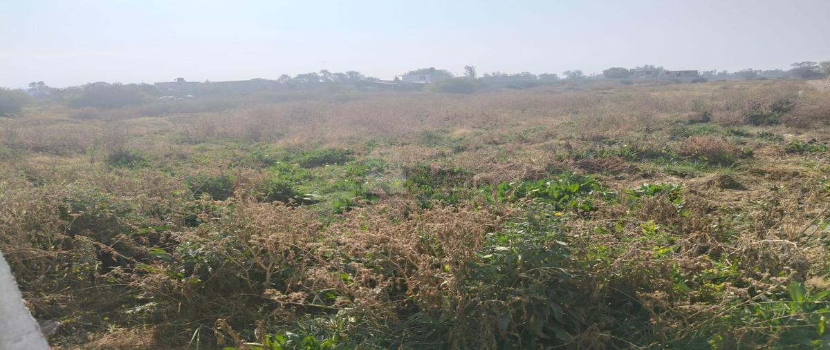Foto de terreno habitacional en venta en ejido de san felipe y santa cruz de abajo 1, santa cruz de arriba, texcoco, méxico, 29435722 No. 04
