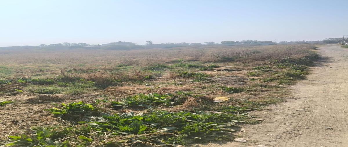 Foto de terreno habitacional en venta en ejido de san felipe y santa cruz de abajo 1, santa cruz de arriba, texcoco, méxico, 29435722 No. 05