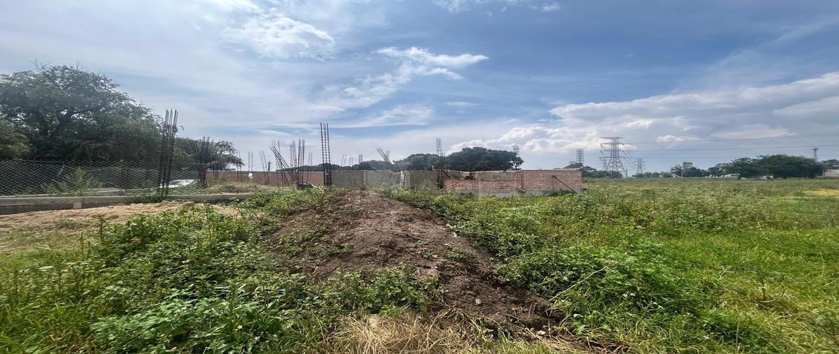 Foto de terreno habitacional en venta en ejido de sanpedro y santa ursula 1, los sauces, texcoco, méxico, 0 No. 05