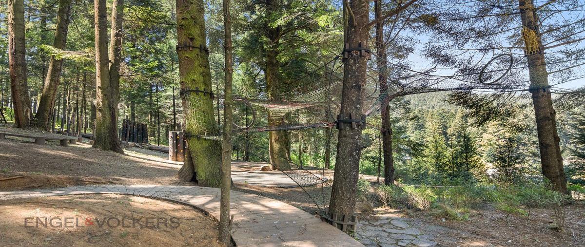 Foto de terreno habitacional en venta en ejido de santa maria atarasquillo , guadalupe la ciénega, lerma, méxico, 28821696 No. 05