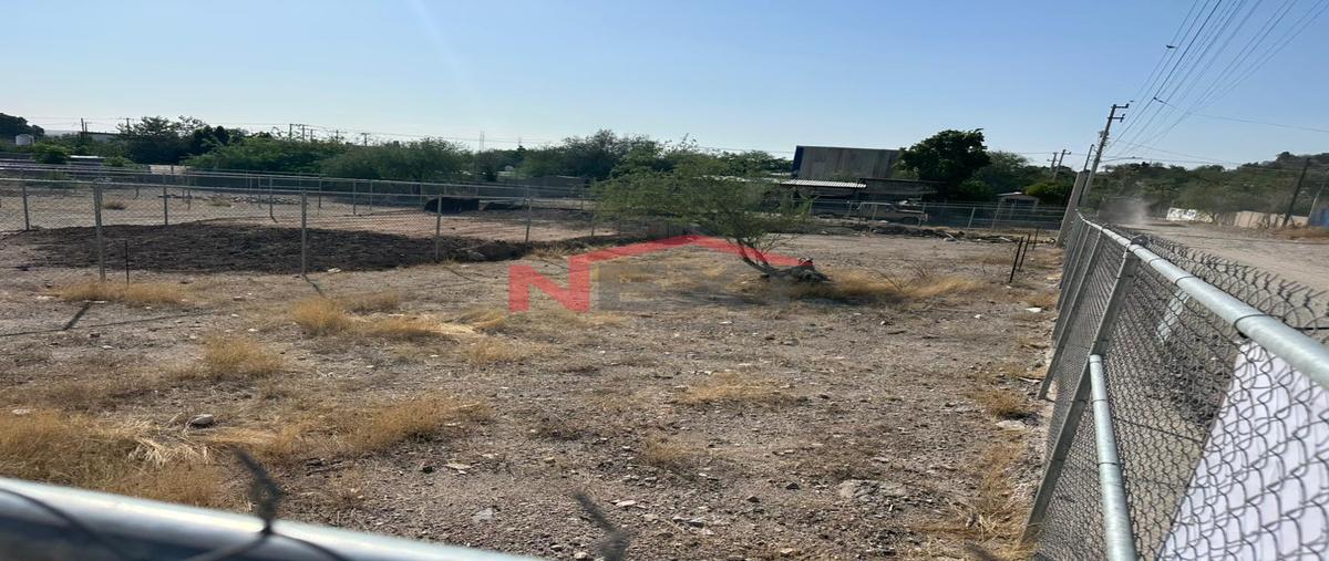 Foto de terreno habitacional en renta en ejido de villa de seris 0, ejido de villa de seris, hermosillo, sonora, 0 No. 03