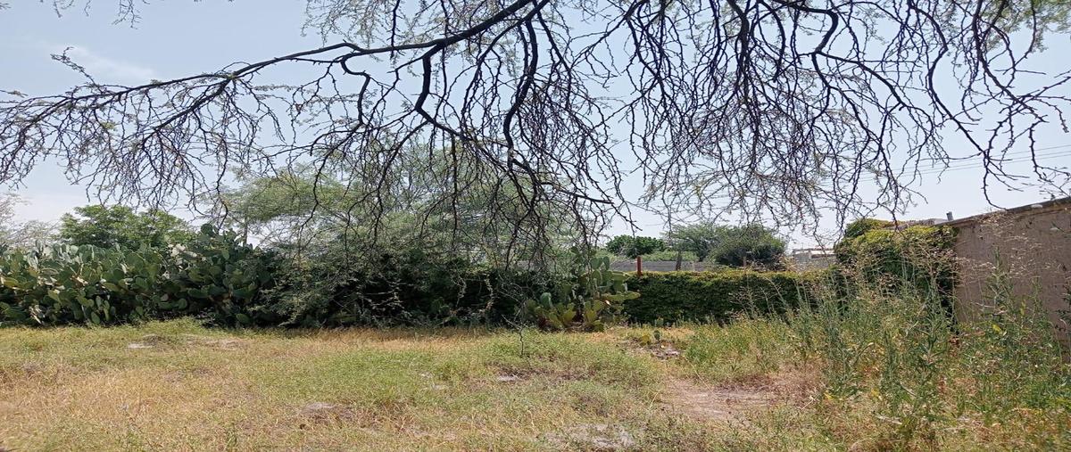 Foto de terreno comercial en ejido el cariño , el cariño, gómez palacio, durango, 31721839 foto 03 Foto de terreno comercial en venta en ejido el cariño , el cariño, gómez palacio, durango, 31721839 No. 03