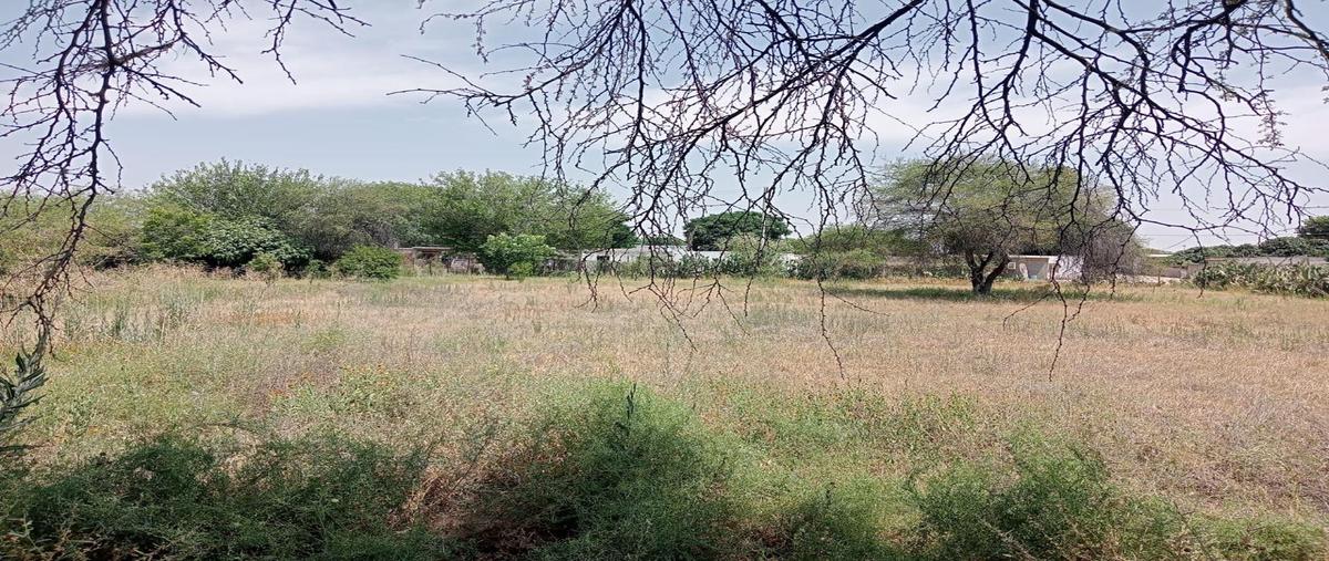 Foto de terreno comercial en ejido el cariño , el cariño, gómez palacio, durango, 31721839 foto 04 Foto de terreno comercial en venta en ejido el cariño , el cariño, gómez palacio, durango, 31721839 No. 04
