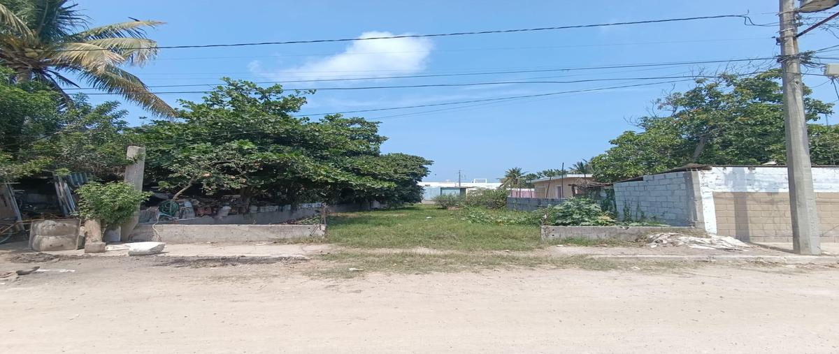 Foto de terreno habitacional en venta en  , ejido el contadero, altamira, tamaulipas, 0 No. 04