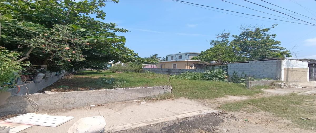 Foto de terreno habitacional en venta en  , ejido el contadero, altamira, tamaulipas, 0 No. 05