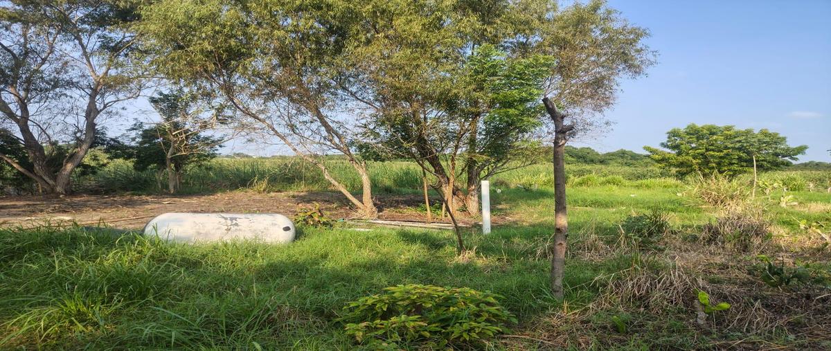 Foto de terreno habitacional en venta en  , ejido el contadero, altamira, tamaulipas, 0 No. 03