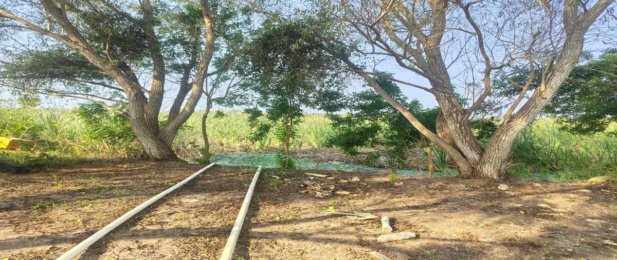 Foto de terreno habitacional en venta en  , ejido el contadero, altamira, tamaulipas, 0 No. 04