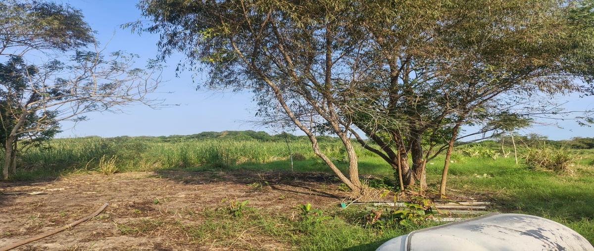 Foto de terreno habitacional en venta en  , ejido el contadero, altamira, tamaulipas, 0 No. 05