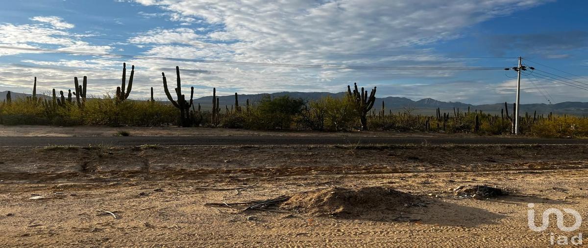 Foto de terreno habitacional en venta en ejido el sargento y su anexo la ventana 584, la ventana, la paz, baja california sur, 30864703 No. 04