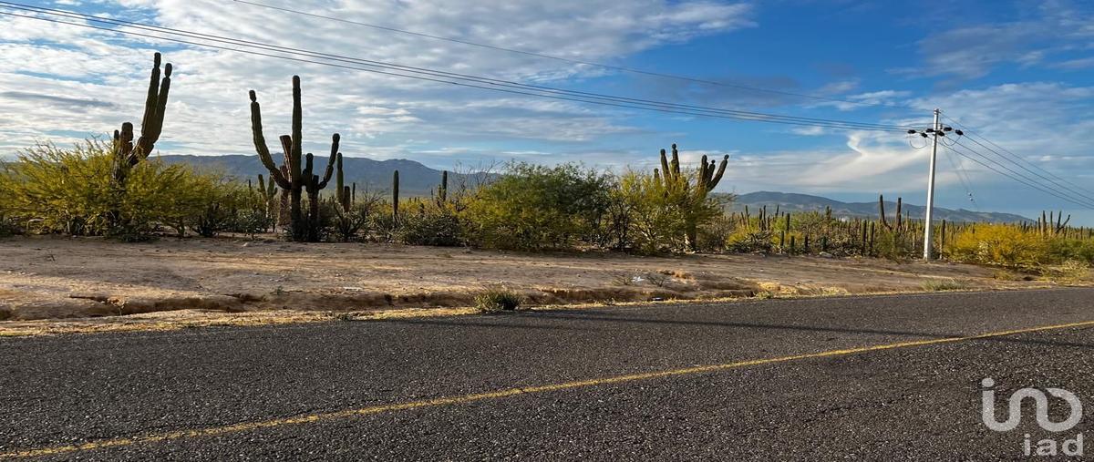 Foto de terreno habitacional en venta en ejido el sargento y su anexo la ventana 600, la ventana, la paz, baja california sur, 30864703 No. 03