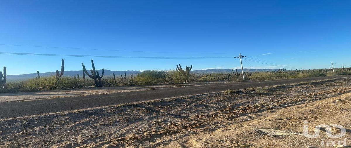 Foto de terreno habitacional en venta en ejido el sargento y su anexo la ventana 600, la ventana, la paz, baja california sur, 30864703 No. 05