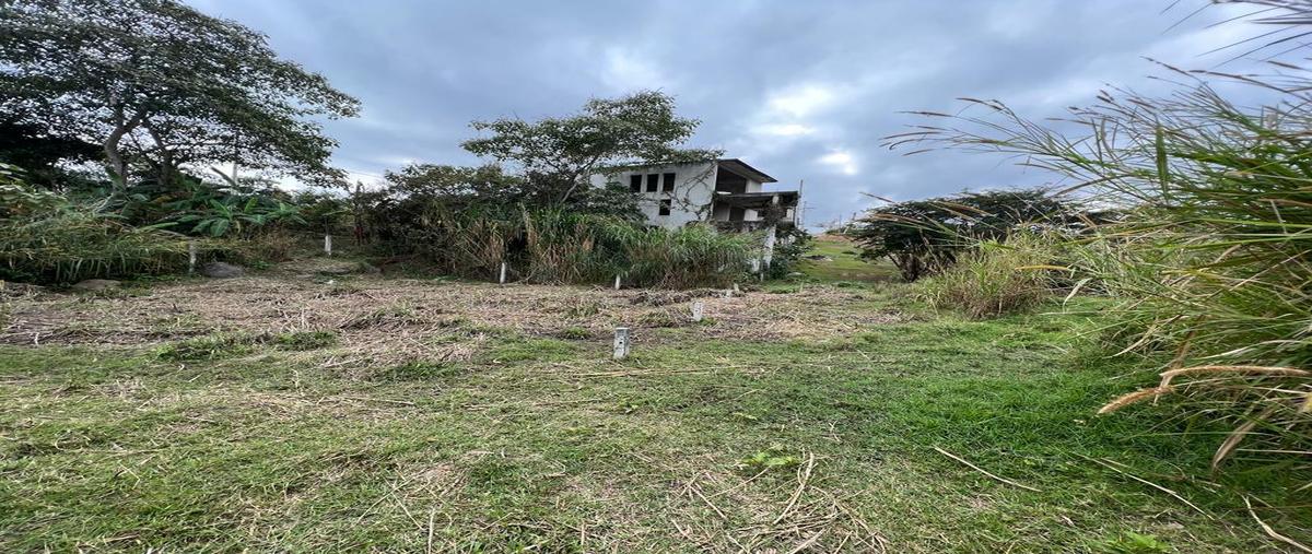 Foto de terreno habitacional en , ejido emiliano zapata, xalapa, veracruz de ignacio de la llave, 23044444 foto 01 Foto de terreno habitacional en venta en , ejido emiliano zapata, xalapa, veracruz de ignacio de la llave, 23044444 No. 01