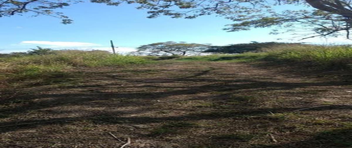 Foto de terreno habitacional en venta en  , ejido emiliano zapata, xalapa, veracruz de ignacio de la llave, 0 No. 03