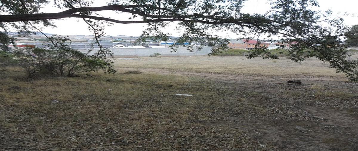 Foto de terreno habitacional en venta en ejido en jilotepec , tecolapan, jilotepec, méxico, 3500316 No. 05