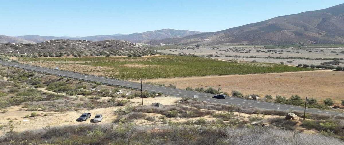 Foto de terreno habitacional en venta en ejido guadalupe , valle de guadalupe, mexicali, baja california, 0 No. 05