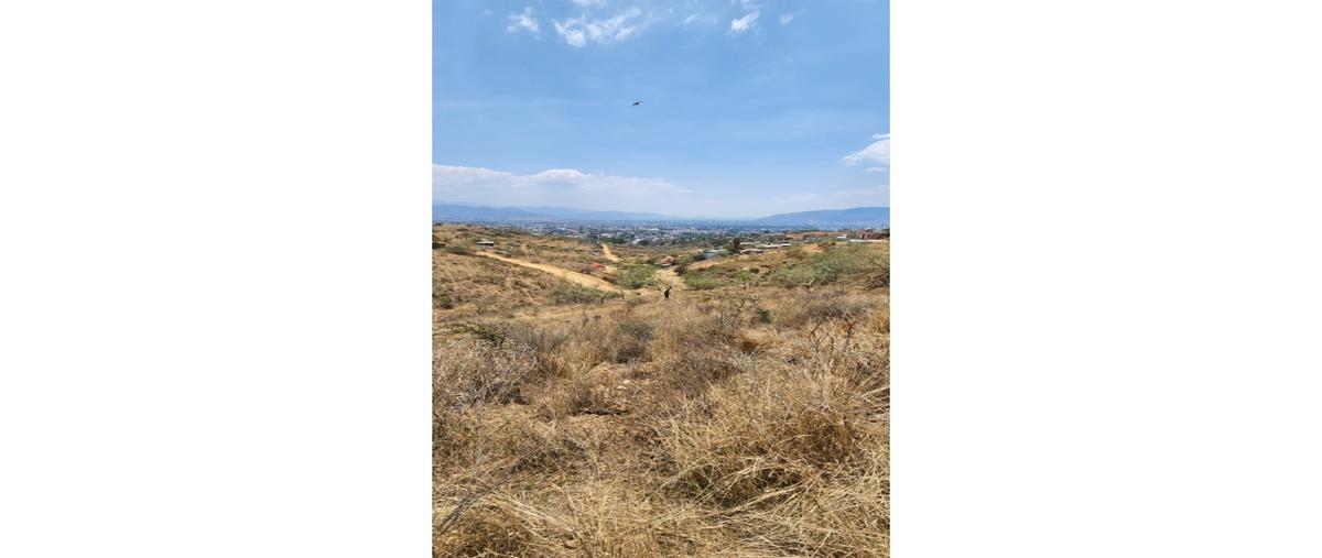 Foto de terreno habitacional en venta en  , ejido guadalupe victoria, oaxaca de juárez, oaxaca, 0 No. 03