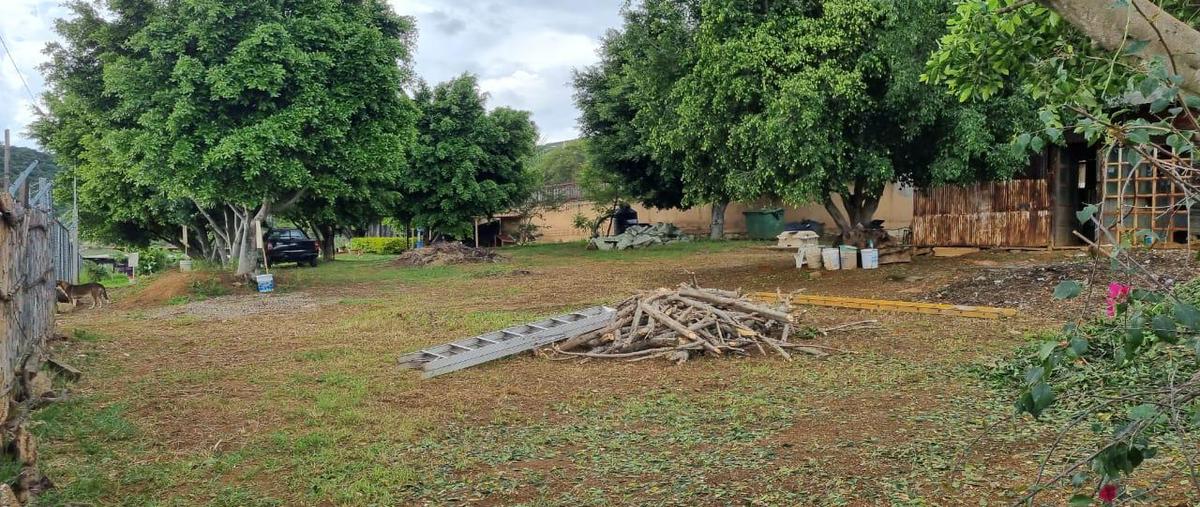 Foto de terreno habitacional en venta en  , ejido guadalupe victoria, oaxaca de juárez, oaxaca, 0 No. 04