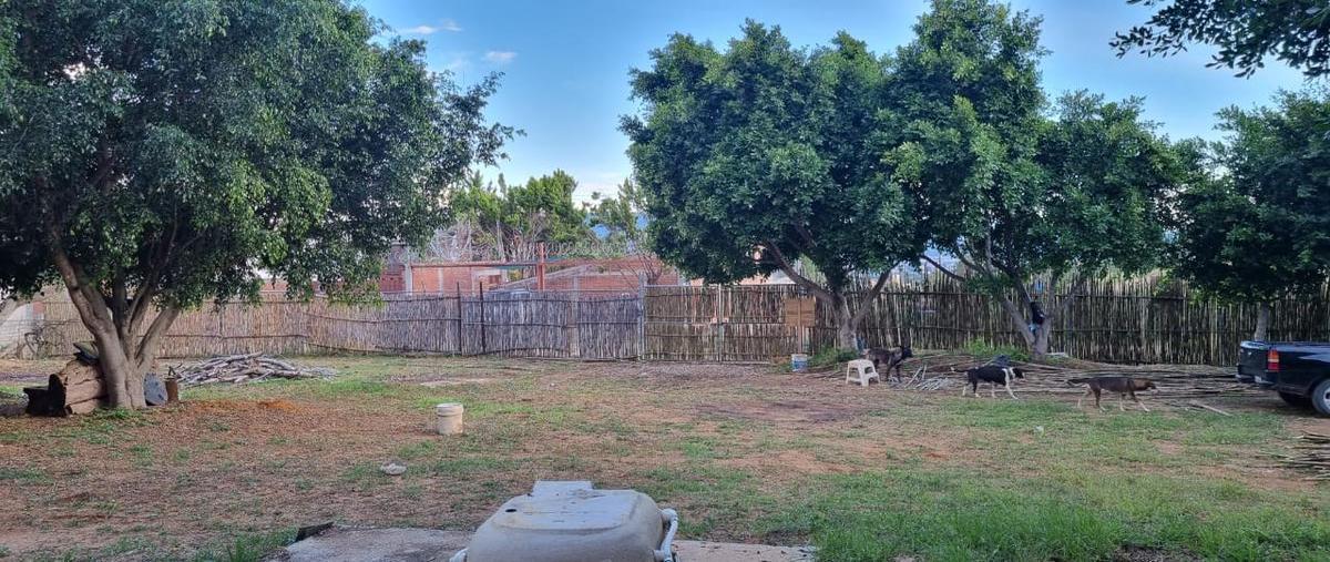 Foto de terreno habitacional en venta en  , ejido guadalupe victoria, oaxaca de juárez, oaxaca, 0 No. 05