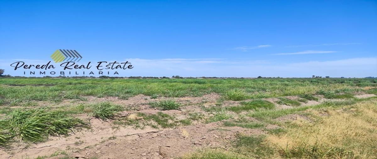 Foto de terreno habitacional en venta en ejido hechicera , islas agrarias b, mexicali, baja california, 28401025 No. 04