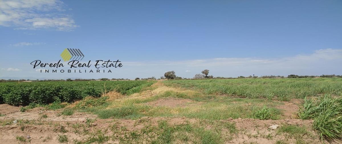 Foto de terreno habitacional en venta en ejido hechicera , islas agrarias b, mexicali, baja california, 28401025 No. 05