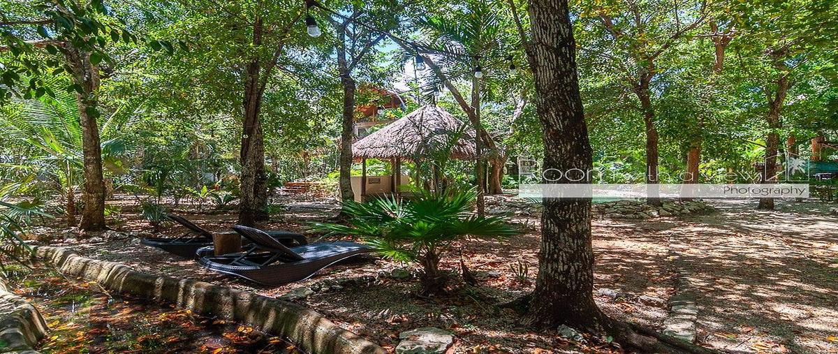 Foto de casa en venta en ejido jacinto pat , ciudad chemuyil, tulum, quintana roo, 31089148 No. 04