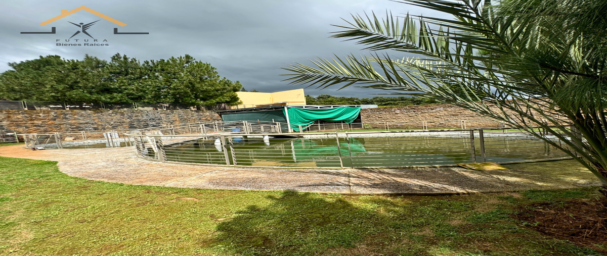 Foto de rancho en venta en  , ejido jesús del monte, morelia, michoacán de ocampo, 29302005 No. 04