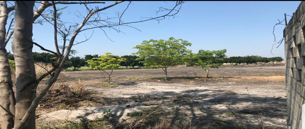 Foto de terreno habitacional en venta en ejido jicarero , tequesquitengo, jojutla, morelos, 18154305 No. 03