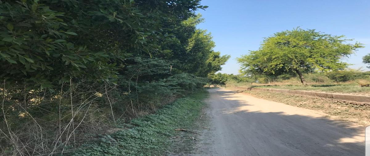 Foto de terreno habitacional en venta en ejido jicarero , tequesquitengo, jojutla, morelos, 18154305 No. 04