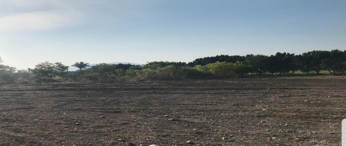 Foto de terreno habitacional en venta en ejido jicarero , tequesquitengo, jojutla, morelos, 18154305 No. 05