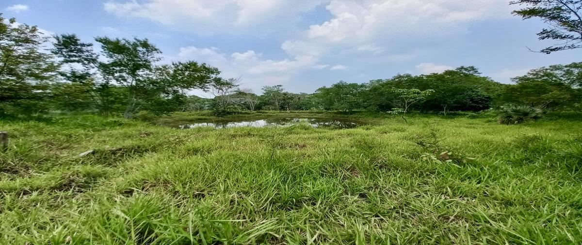 Foto de rancho en ejido kilometro 43 , tancoco, tancoco, veracruz de ignacio de la llave, 0 foto 01 Foto de rancho en venta en ejido kilometro 43 , tancoco, tancoco, veracruz de ignacio de la llave, 0 No. 01