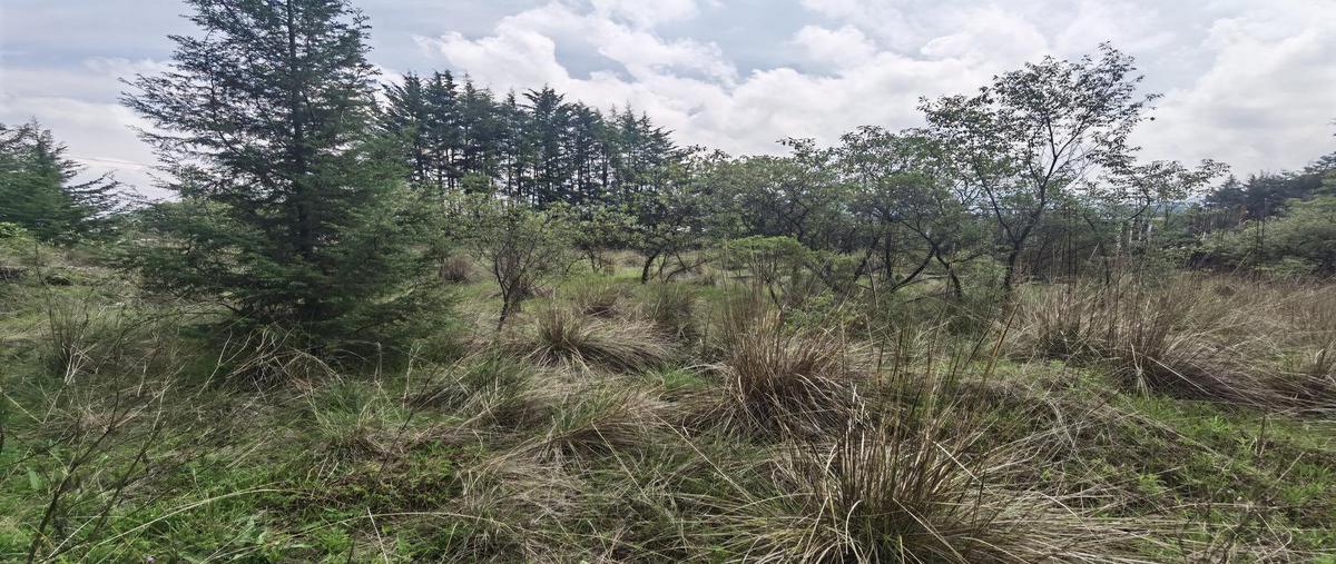 Foto de terreno habitacional en venta en  , ejido la campana, ocoyoacac, méxico, 0 No. 03