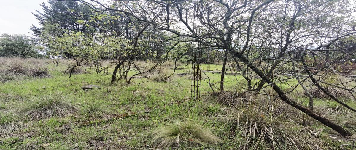 Foto de terreno habitacional en venta en  , ejido la campana, ocoyoacac, méxico, 0 No. 05