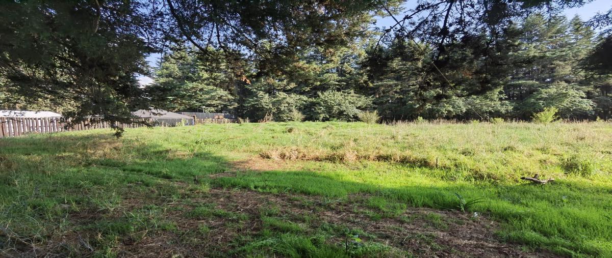 Foto de terreno habitacional en renta en  , ejido la campana, ocoyoacac, méxico, 0 No. 03