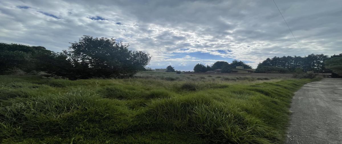 Foto de terreno habitacional en venta en  , ejido la campana, ocoyoacac, méxico, 0 No. 05